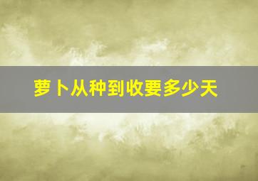 萝卜从种到收要多少天