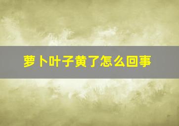 萝卜叶子黄了怎么回事