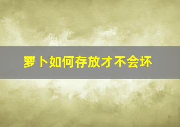 萝卜如何存放才不会坏