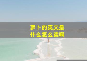 萝卜的英文是什么怎么读啊