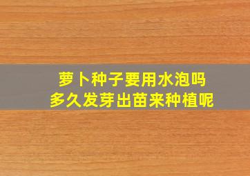 萝卜种子要用水泡吗多久发芽出苗来种植呢