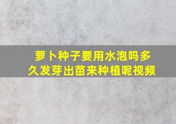 萝卜种子要用水泡吗多久发芽出苗来种植呢视频