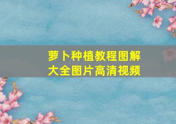 萝卜种植教程图解大全图片高清视频