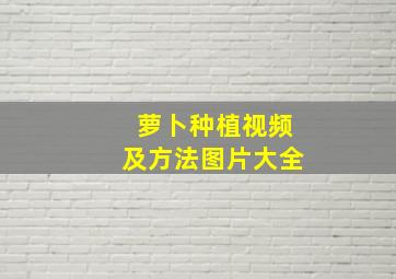 萝卜种植视频及方法图片大全