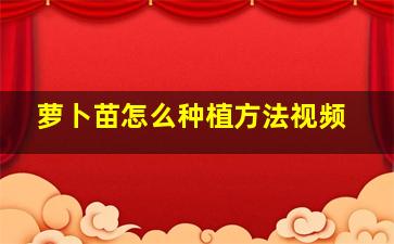 萝卜苗怎么种植方法视频