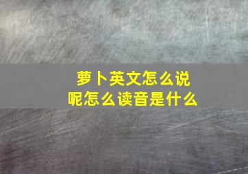 萝卜英文怎么说呢怎么读音是什么