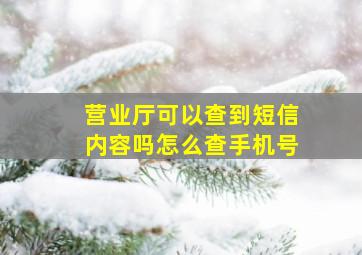 营业厅可以查到短信内容吗怎么查手机号