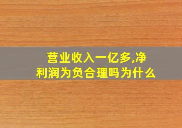 营业收入一亿多,净利润为负合理吗为什么