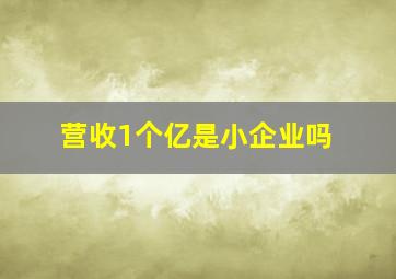 营收1个亿是小企业吗