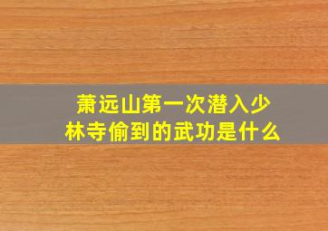 萧远山第一次潜入少林寺偷到的武功是什么