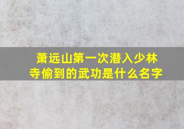 萧远山第一次潜入少林寺偷到的武功是什么名字