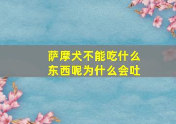 萨摩犬不能吃什么东西呢为什么会吐