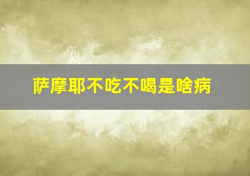 萨摩耶不吃不喝是啥病