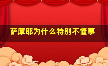 萨摩耶为什么特别不懂事