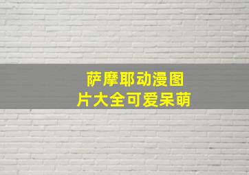 萨摩耶动漫图片大全可爱呆萌