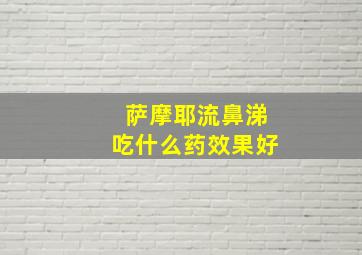 萨摩耶流鼻涕吃什么药效果好