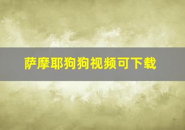 萨摩耶狗狗视频可下载