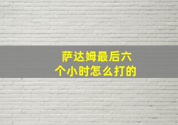 萨达姆最后六个小时怎么打的