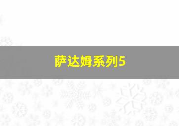 萨达姆系列5