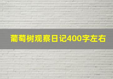 葡萄树观察日记400字左右