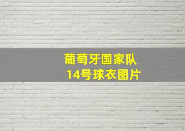 葡萄牙国家队14号球衣图片