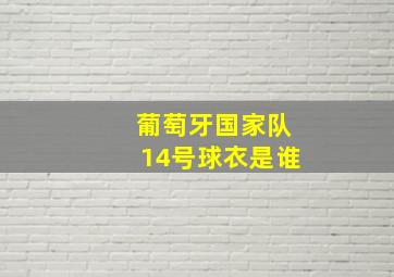 葡萄牙国家队14号球衣是谁