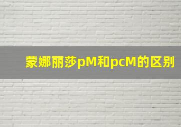 蒙娜丽莎pM和pcM的区别