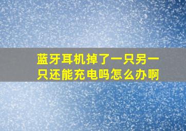 蓝牙耳机掉了一只另一只还能充电吗怎么办啊