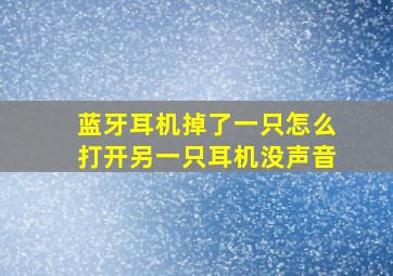 蓝牙耳机掉了一只怎么打开另一只耳机没声音