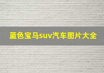 蓝色宝马suv汽车图片大全