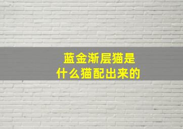 蓝金渐层猫是什么猫配出来的