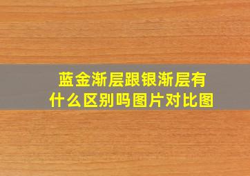 蓝金渐层跟银渐层有什么区别吗图片对比图