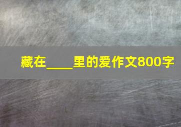 藏在____里的爱作文800字