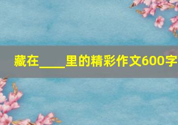 藏在____里的精彩作文600字