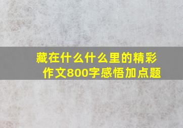 藏在什么什么里的精彩作文800字感悟加点题