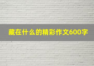 藏在什么的精彩作文600字