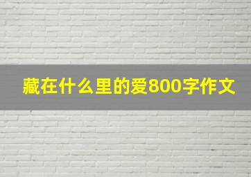 藏在什么里的爱800字作文