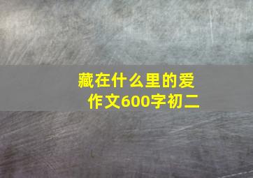 藏在什么里的爱作文600字初二