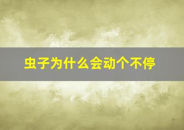 虫子为什么会动个不停