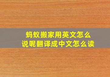 蚂蚁搬家用英文怎么说呢翻译成中文怎么读