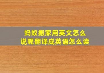 蚂蚁搬家用英文怎么说呢翻译成英语怎么读