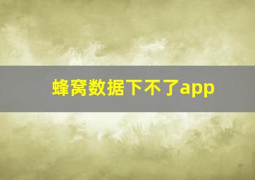 蜂窝数据下不了app