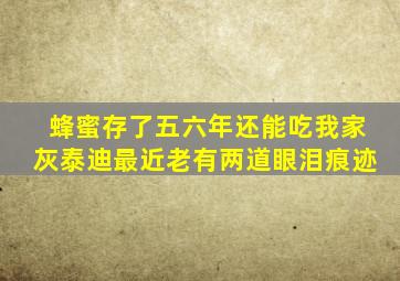 蜂蜜存了五六年还能吃我家灰泰迪最近老有两道眼泪痕迹