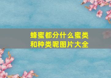 蜂蜜都分什么蜜类和种类呢图片大全