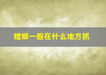 螳螂一般在什么地方抓