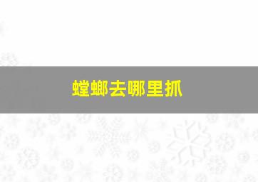 螳螂去哪里抓