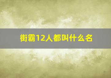 街霸12人都叫什么名