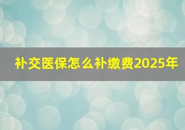 补交医保怎么补缴费2025年