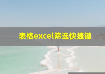 表格excel筛选快捷键