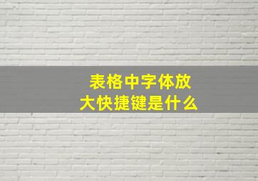 表格中字体放大快捷键是什么